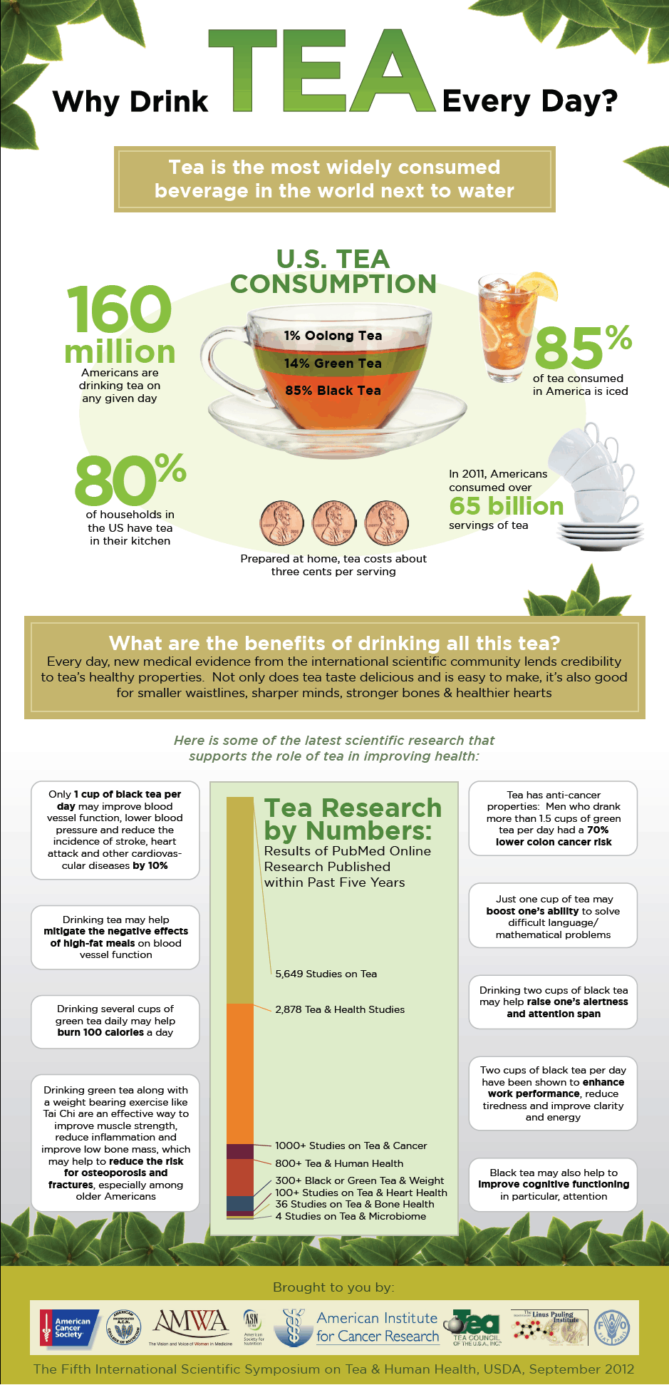 tea infographic
