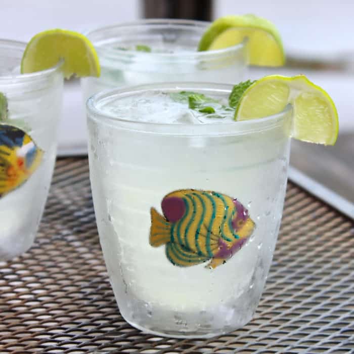 Mojito Limeades from Living Well Kitchen