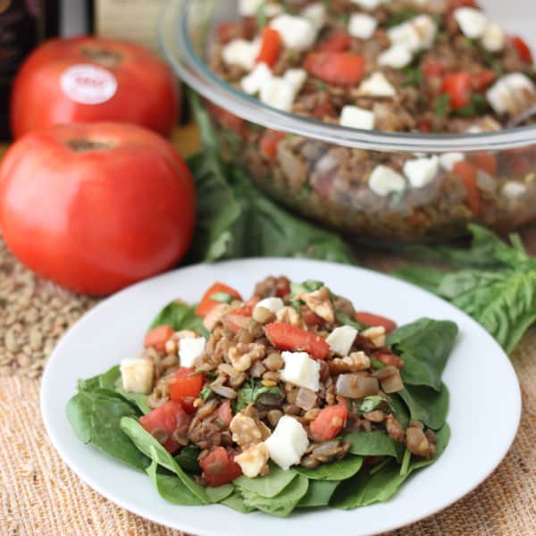 white plate with fresh spinach and lentil salad surrounded by fresh tomatoes and a bowl of lentil salad