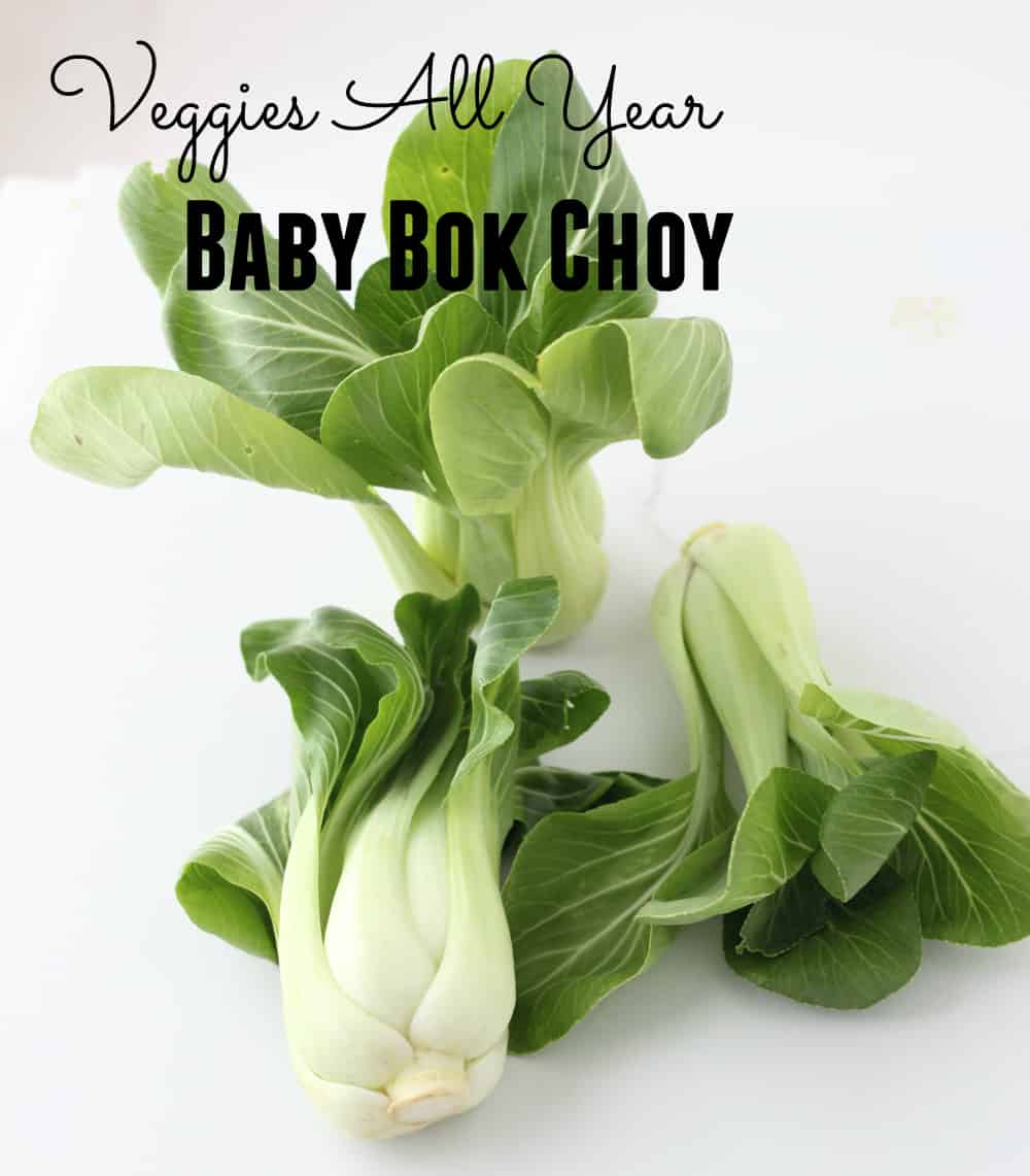 Learn all about bok choy: the health benefits, how to cook and eat them, and lots of recipe ideas