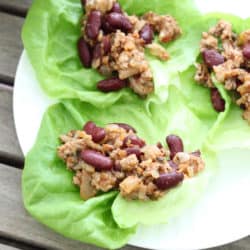 Salsa Turkey Lettuce Wraps- 2