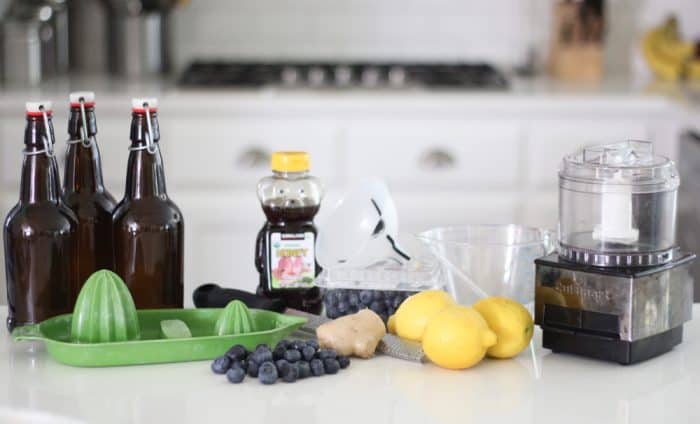 Ginger Berryade Kombucha from Living Well Kitchen