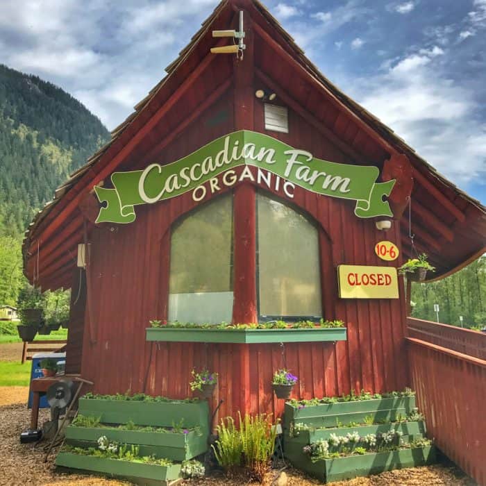 Adventures at Cascadian Farm from Living Well Kitchen