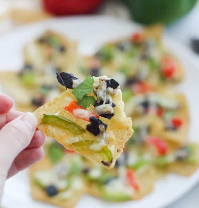 hand holding beef jerky nacho tortilla chip