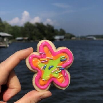 hand holding a brightly colored decorated cookie with a river and blue sky in background