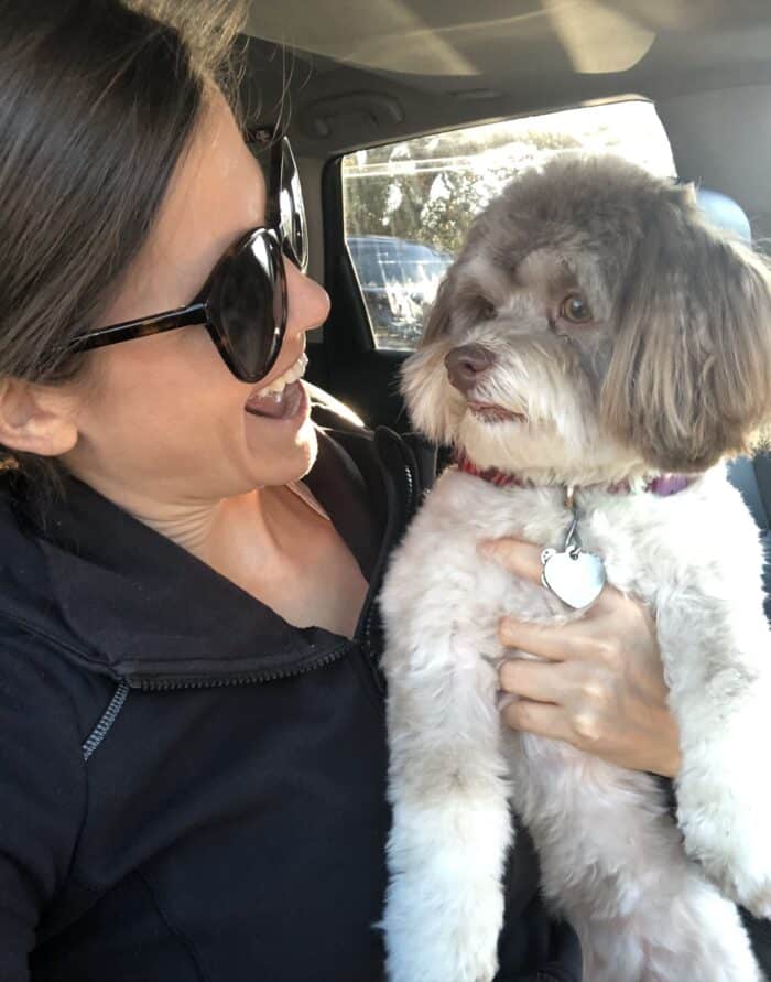 brunette female holding and smiling at a havanese dog