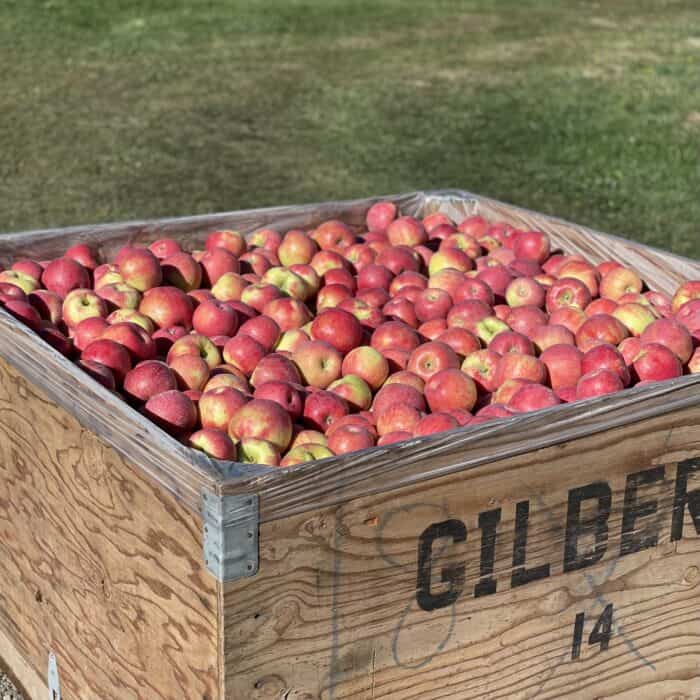 container of organic produce of apples