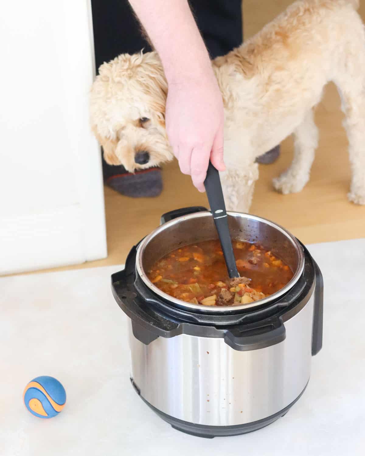 a blue and orange ball with a dog being held back by a man holding a spoon in an instant pot full of soup