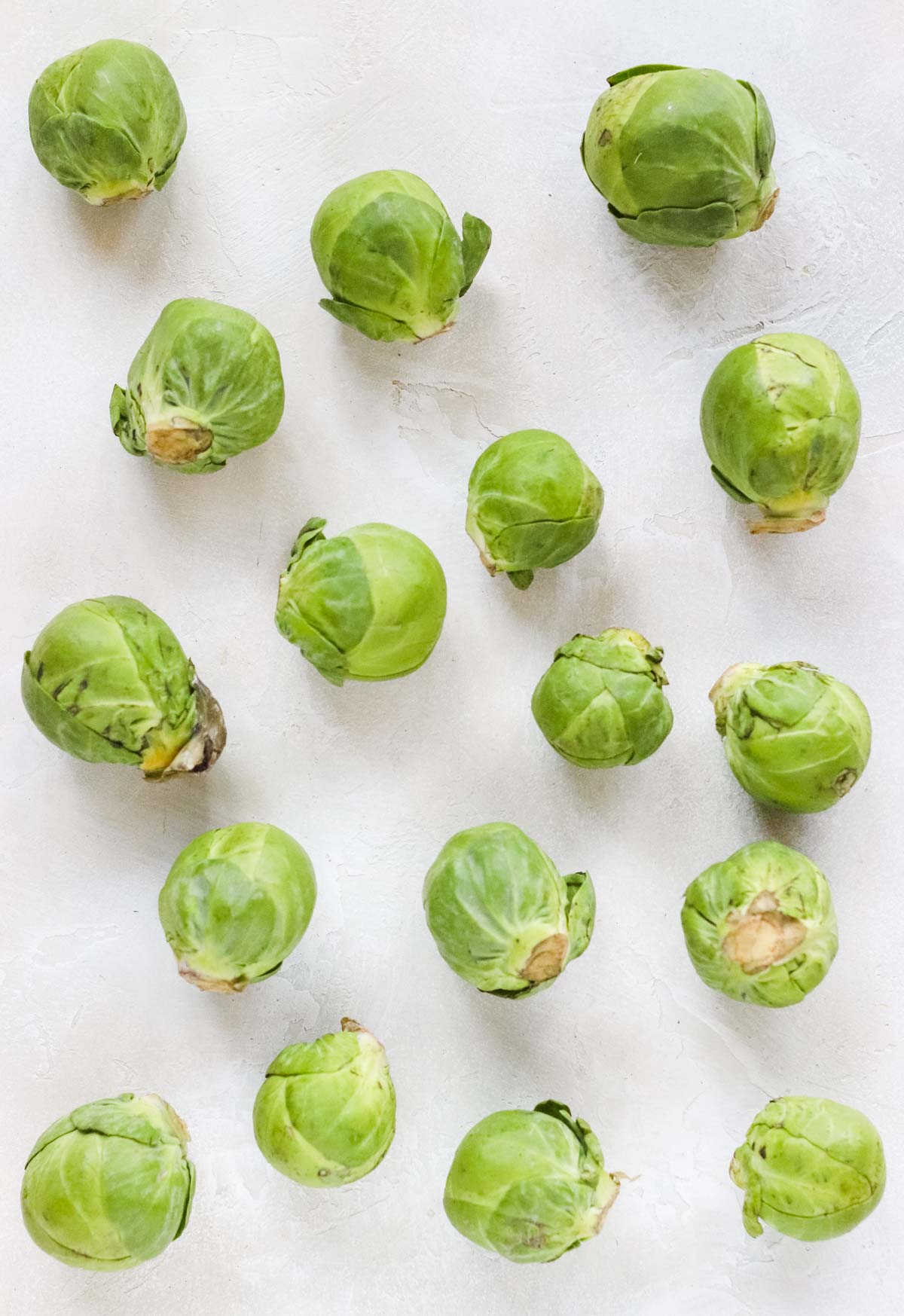 Brussels sprouts scattered on a white countertop