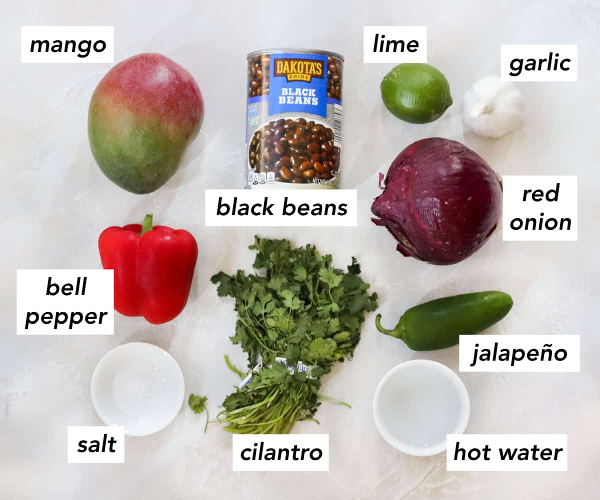 mango, red bell pepper, salt, cilantro, bowl of hot water, jalapeno, red onion, garlic, lime, black beans.