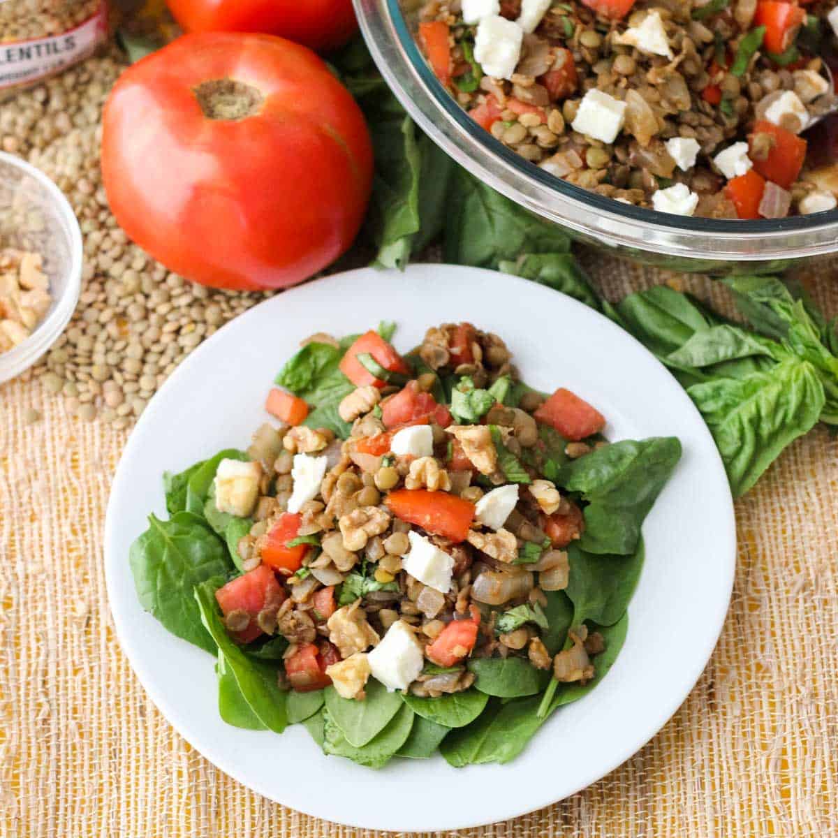 white plate with fresh spinach and lentil salad surrounded by fresh tomatoes, scattered green lentils, and a bowl of caprese lentil salad.