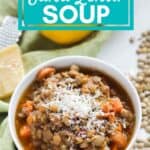 bowl of salsa lentil soup with text overlay that reads easy, vegan, budget friendly salsa lentil soup.