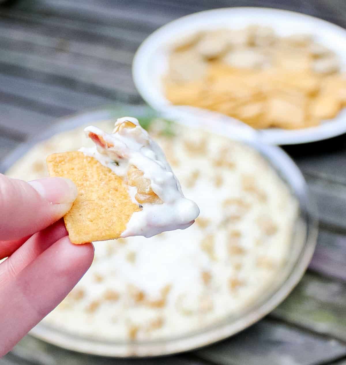 hand holding a wheat thin with blue cheese bacon dip and walnuts with a bowl of dip in background.