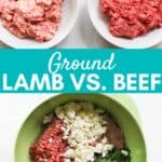 two bowls of ground beef with a bowl of lamb burgers.