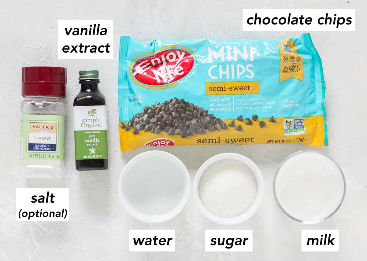 salt, vanilla extract, water, sugar, milk, chocolate chips with text overlay describing ingredient.