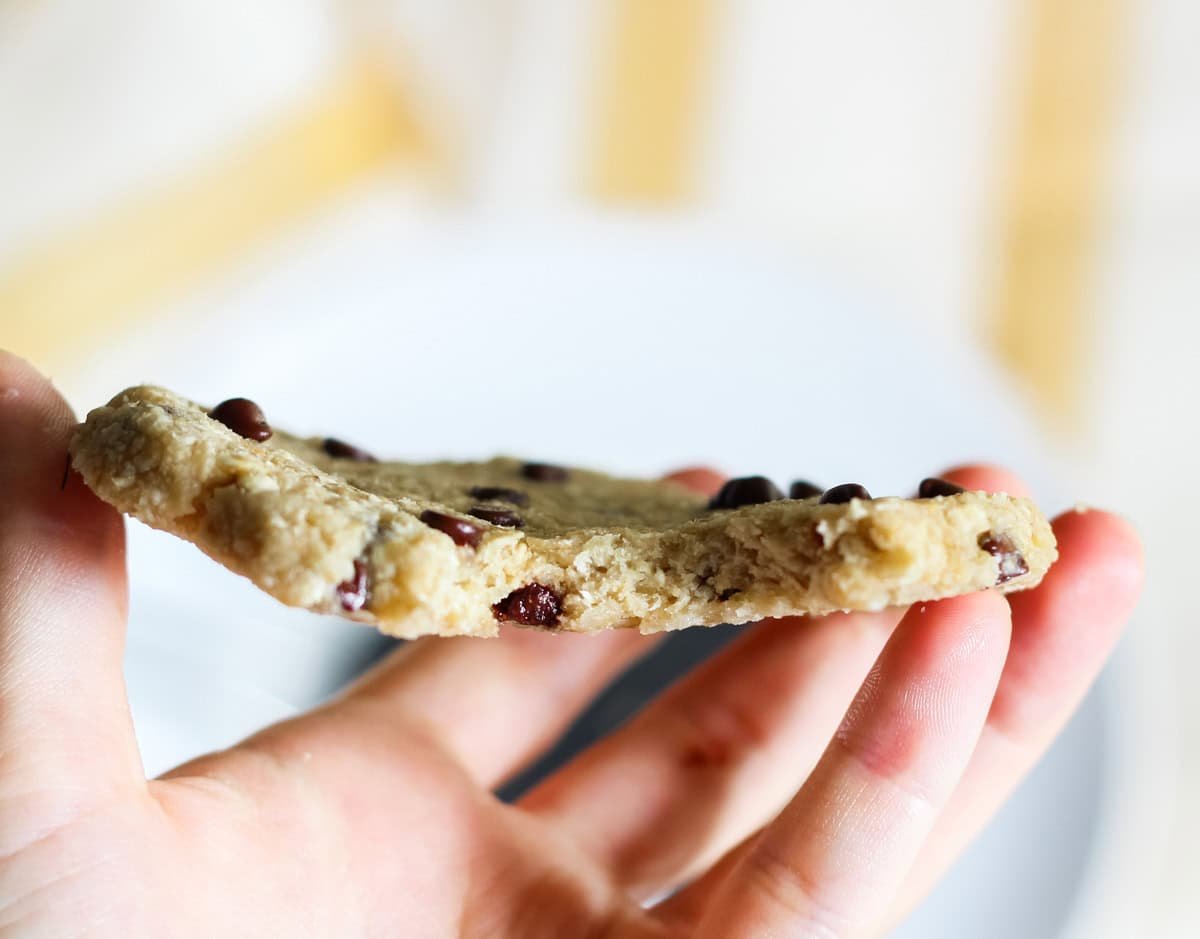 hand holding a microwave oatmeal cookie with a bite taken out of it.